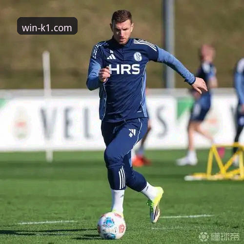 沙尔克04德甲回归计划深度分析：500万欧元新星能否重塑辉煌？——K1体育平台全面解读夏季转会窗动态
