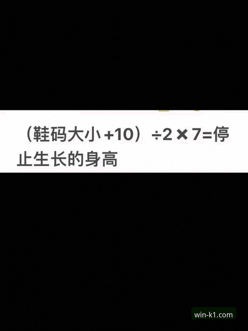 K1体育平台使用全指南：从下载到深度观赛的资深用户分享